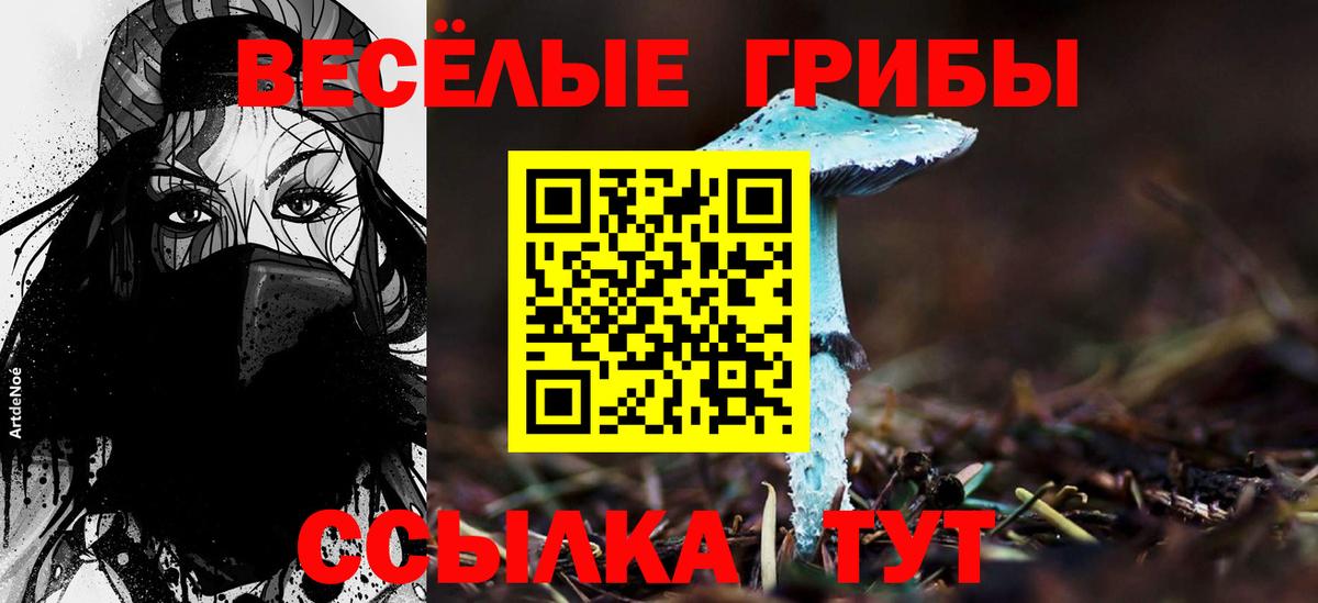 Галлюциногенные грибы Psilocybe Ипатово
