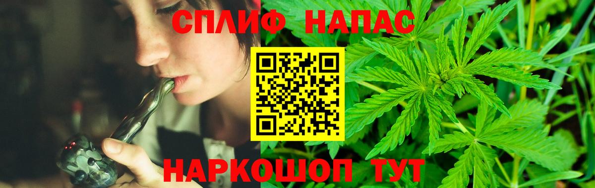 Конопля семена  Канабис Ganja  Ипатово  Шишки марихуана план  Вход с VPN 